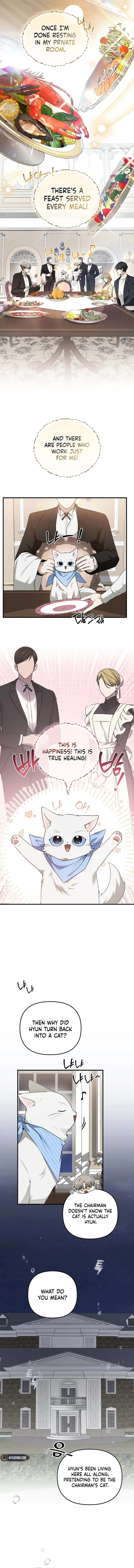 As of Today, I'm the Butler for Five Men Chapter 16 Page 8